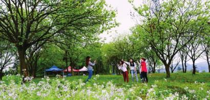 古蔺美丽乡村已经成为市民新的旅游去处