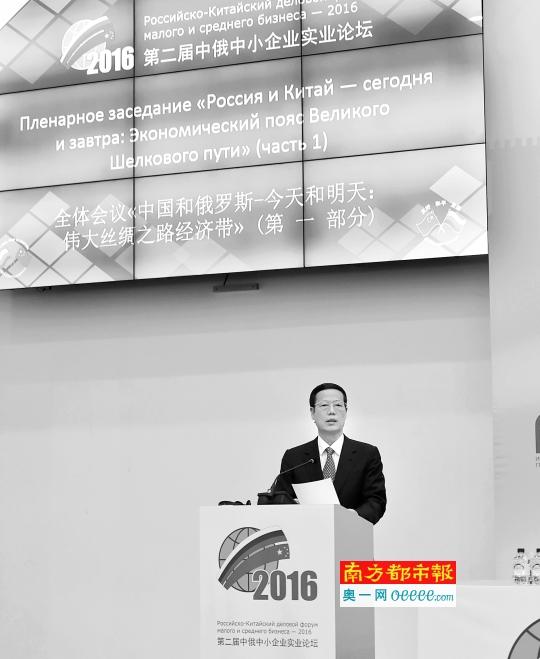 张高丽:合力构建中俄能源战略合作关系